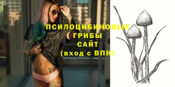 винт Новозыбков