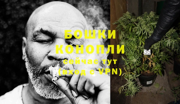 винт Новозыбков