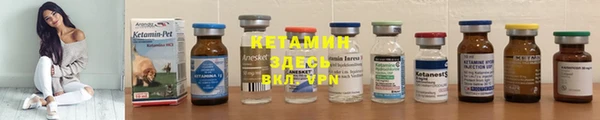 винт Новозыбков