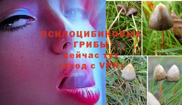 винт Новозыбков